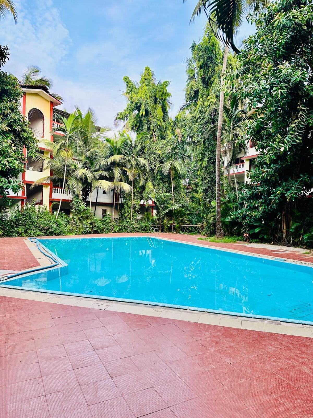 Pool Facing In Calangute Apartment