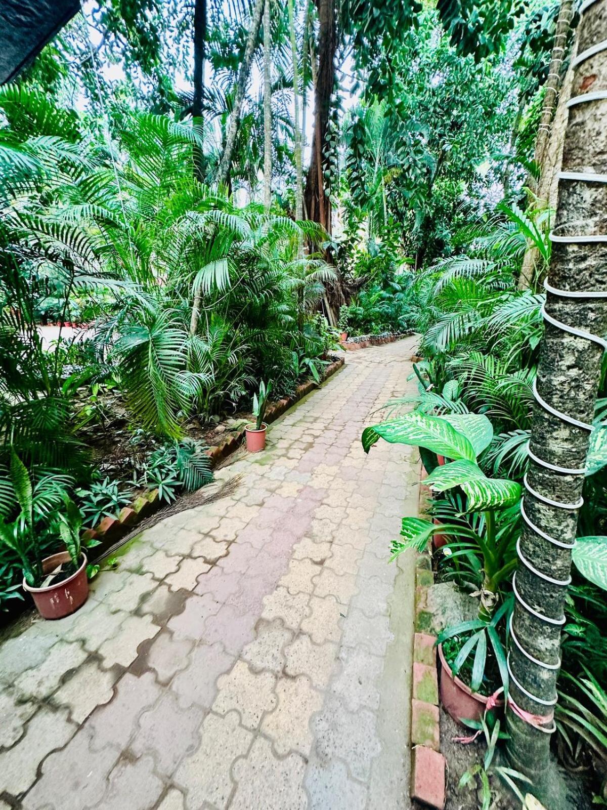 Apartment Pool Facing In Calangute Arpora